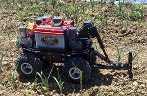weeding robot